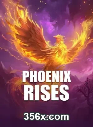 App premium da 356x.com com design moderno e funcionalidades VIP